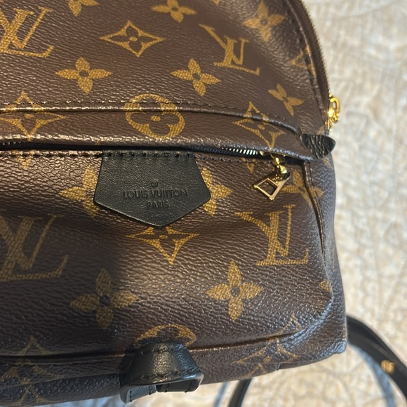 Authentic Louis Vuitton Palm Springs Mini Backpack Purse - Picture 4 of 14